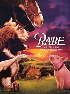 Bebe (Babe) i