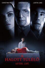 Diriliş After.Life