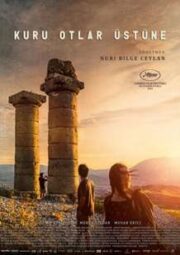 Kuru Otlar Üstüne