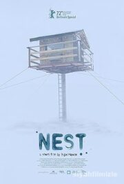 Nest 2022