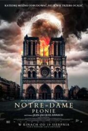 Notre-Dame on Fire