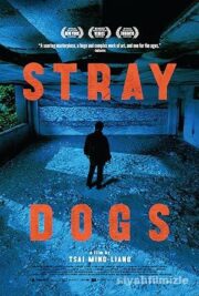 Sokak Köpekleri 2013