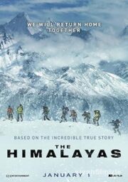 The Himalayas 2015