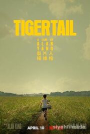 Tigertail 2020